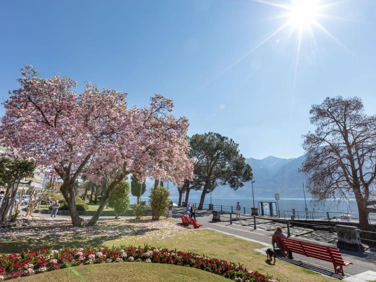 Modern-13 Apartment Ascona